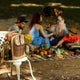 Hassle free picnic in the US