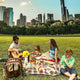 <div style="text-align: center;"><strong>Choosing the best location for a picnic in the US</strong></div> <p> </p>